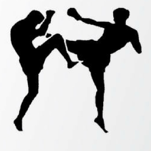 Budapest Fighters