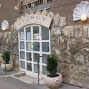 Gyöngy Fitness